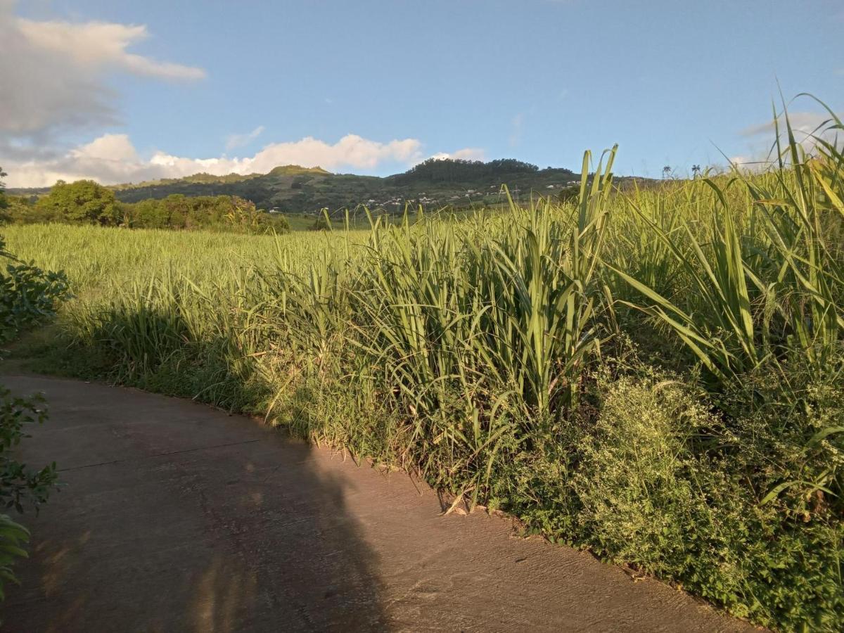 圣勒Le Jardin别墅 外观 照片