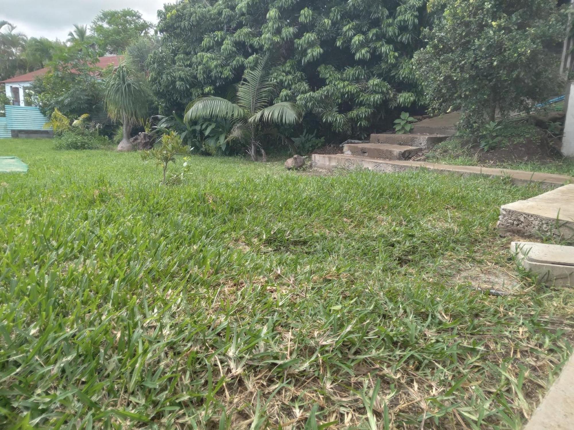 圣勒Le Jardin别墅 外观 照片