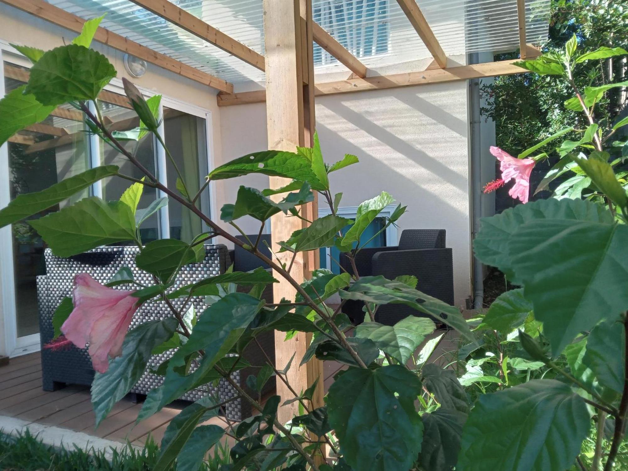 圣勒Le Jardin别墅 外观 照片